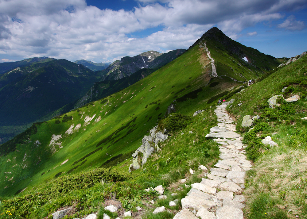 Z wczorajszego (24.06) wypadu w Tatry