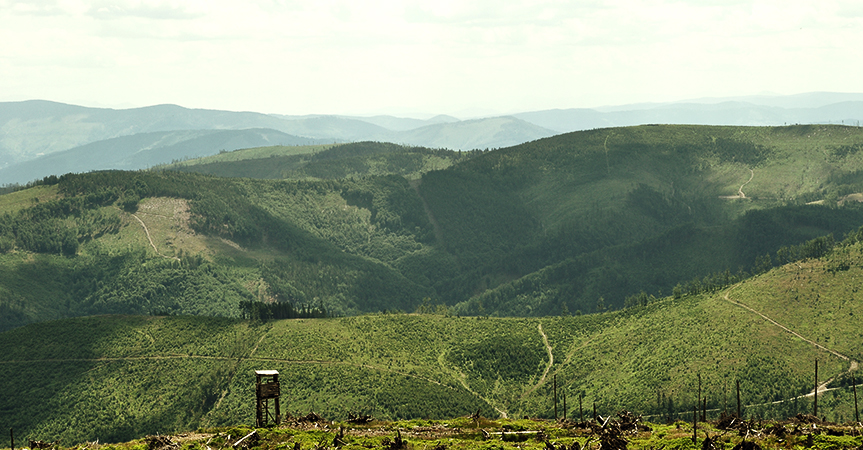 Beskid Żywiecki