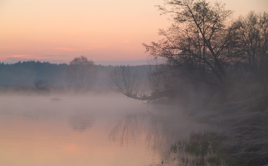 nida...wiosną