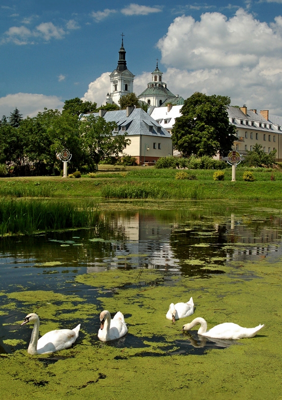 Podlaski Licheń ...