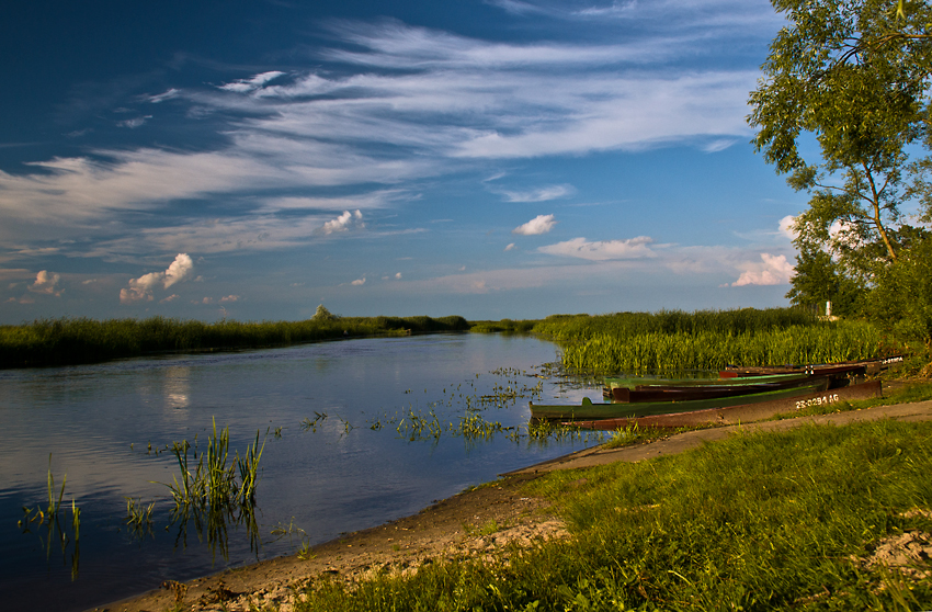 Nad Biebrzą