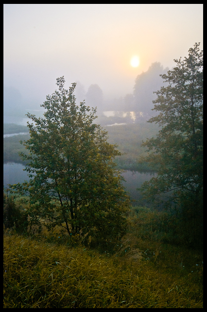 Poranek nad Wkrą