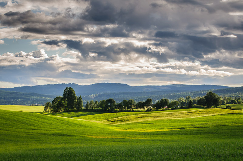 Nordmarka