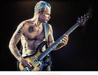 flea