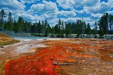 Yellowstone