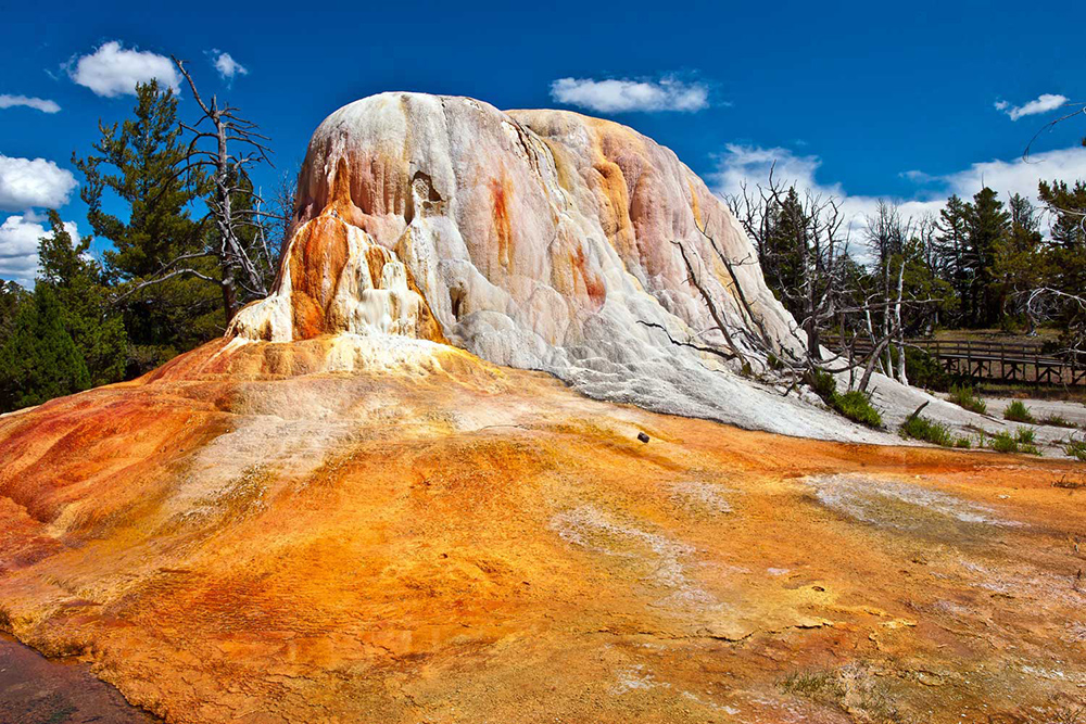 Orange Spring Mound