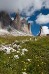 Tre Cime od południa