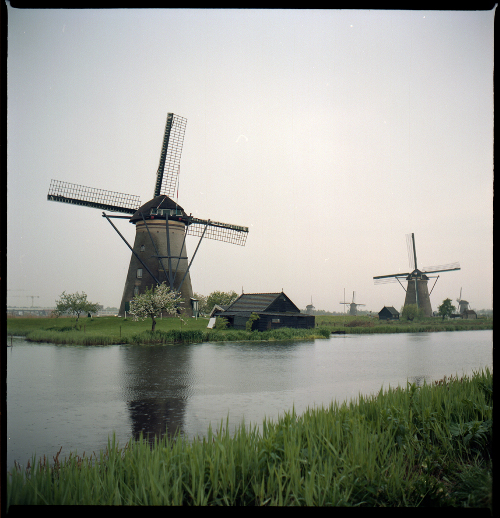 Kinderdijk