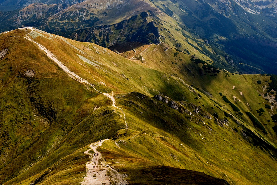 Tatrzańskie ścieżki VI