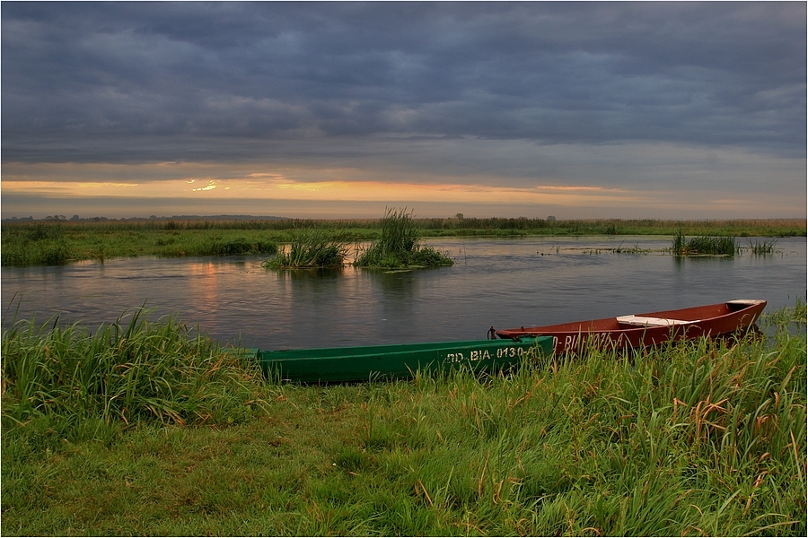 Poranek nad Narwią