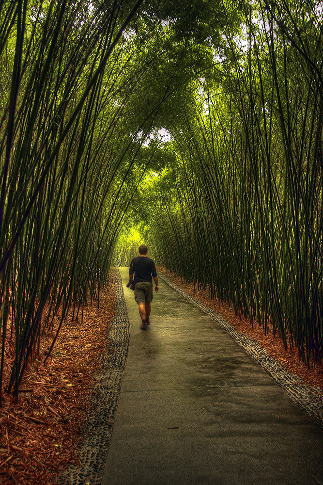 Bamboopark