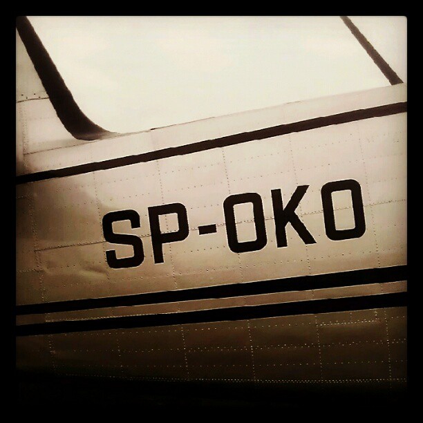 spoko