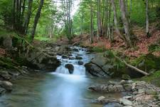 >>>Bieszczady