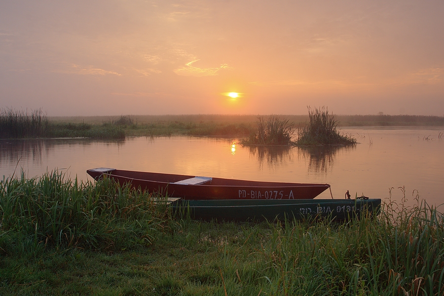 Poranek nad Narwią