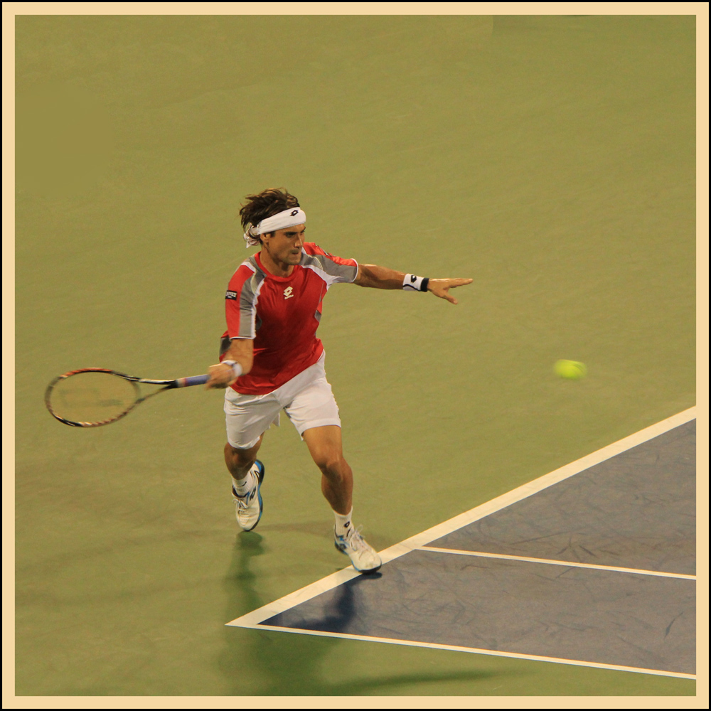 David Ferrer