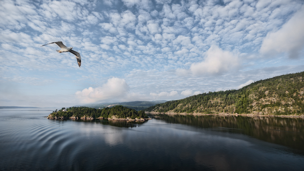 Norweskie wybrzeże