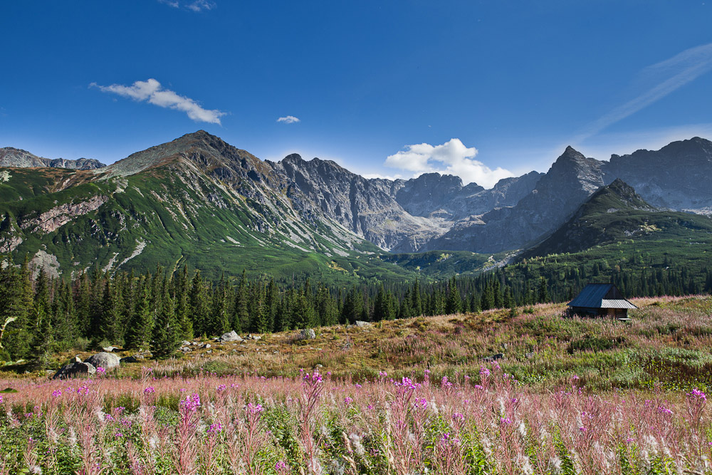 tatry