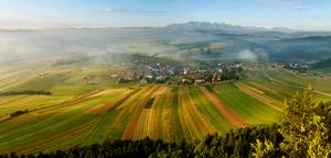 Pola, góry, lasy...