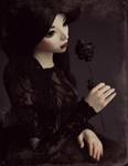 black rose