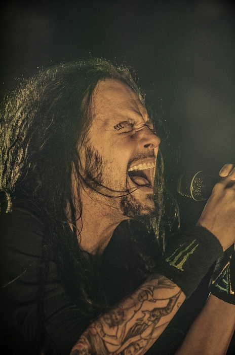 Korn 2012