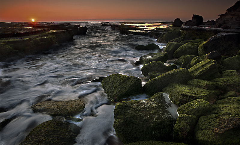 north narrabeen Au