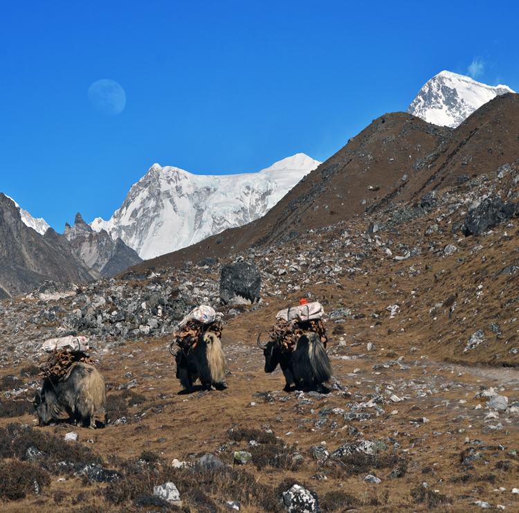 Last Trip to Gokyo