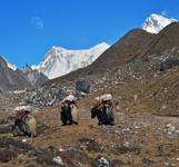 Last Trip to Gokyo