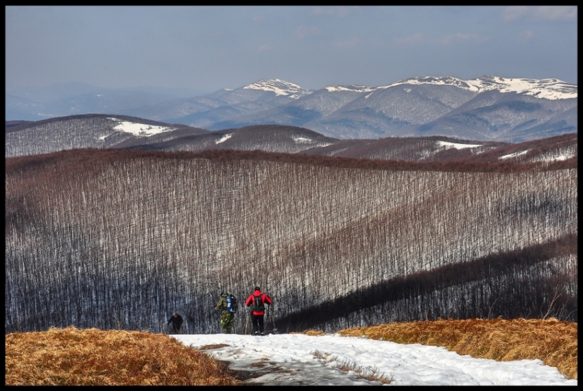 Bieszczady spacerem...