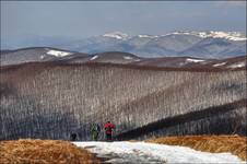 Bieszczady spacerem...