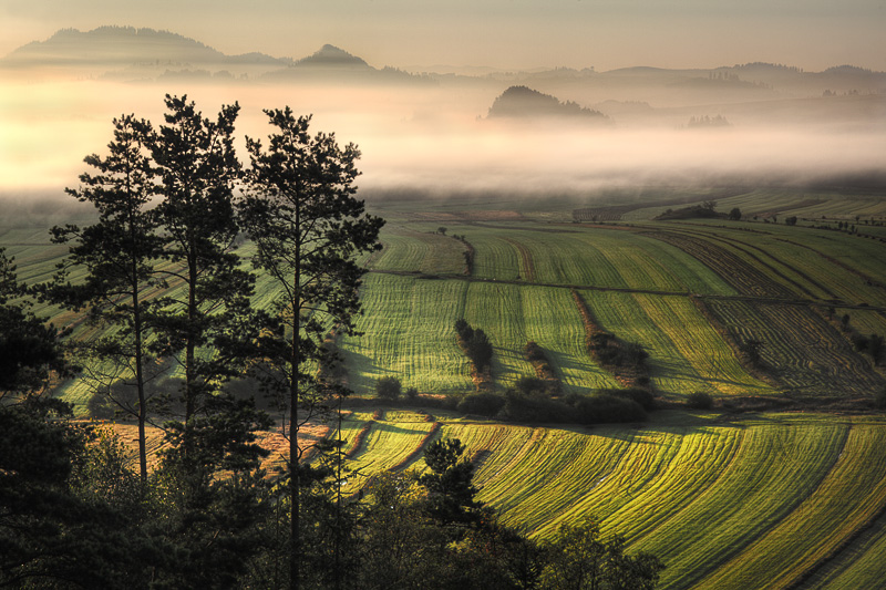 Pieniny