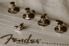 Fender