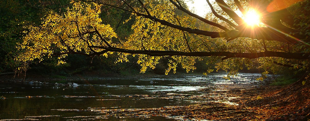 Jesień nad rzeką