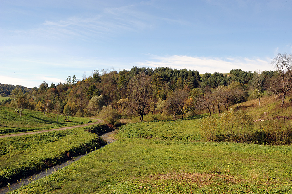 Żernica Wyżna Bieszczady