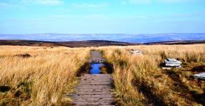 Ilkley Moors