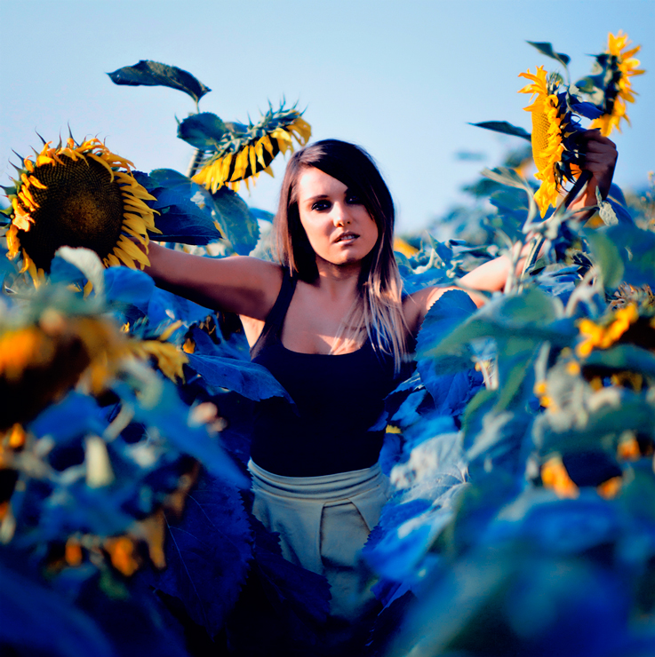 Blue Sunflower Princess...