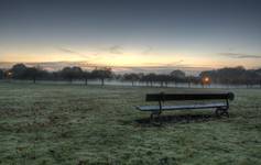 Harrogate - Stray