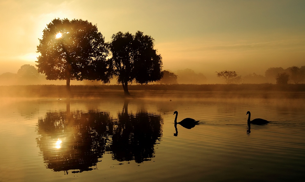 misty morning