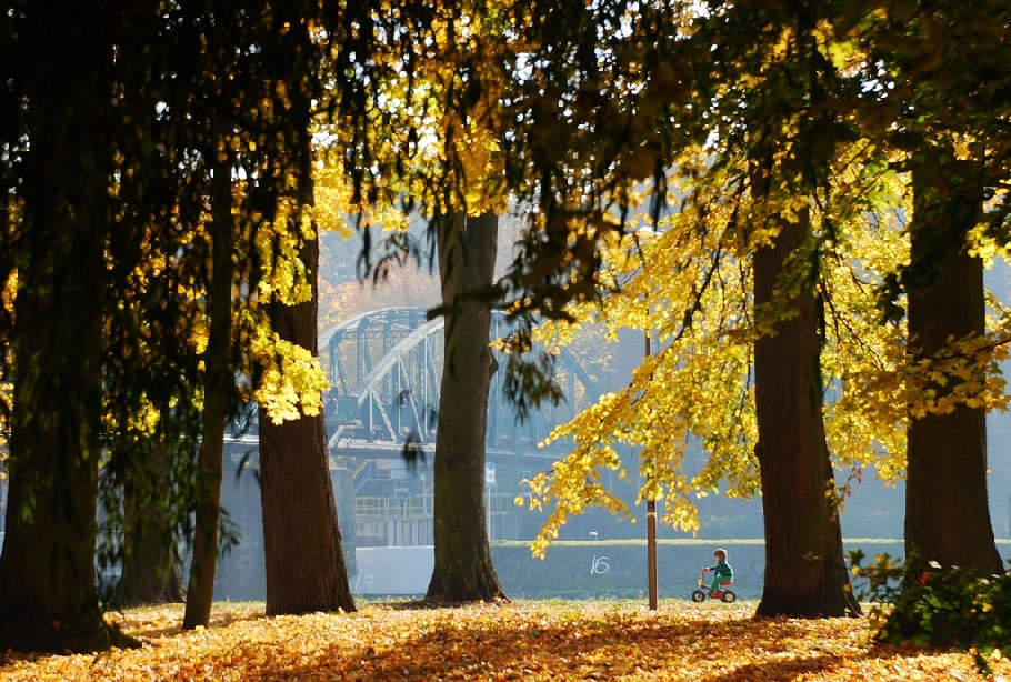 październikowa foto migawka