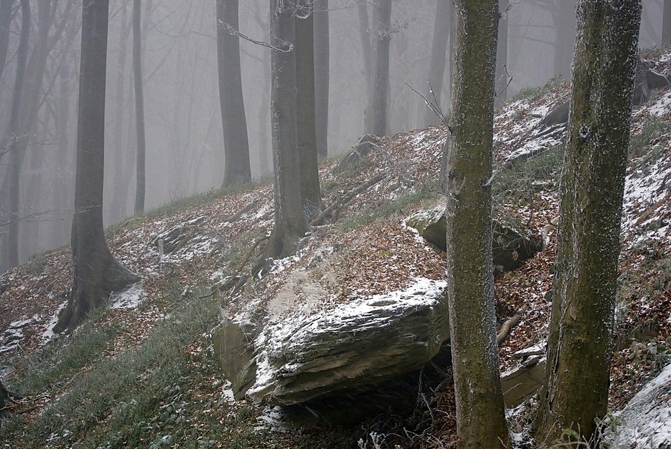 pierwszy śnieg