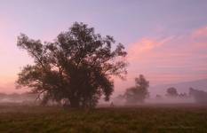 wschód nad Kamienną