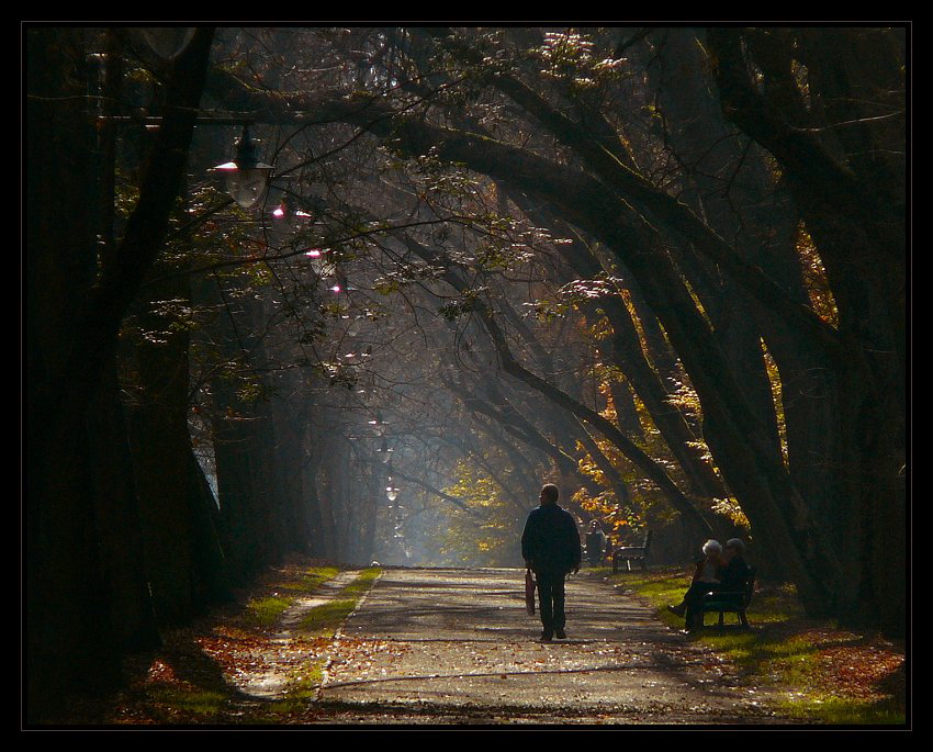 Jest taki Park...