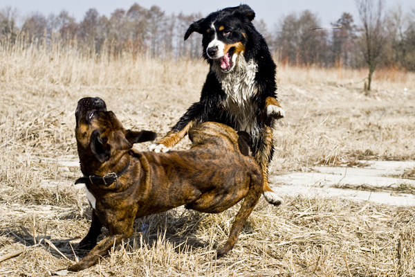 Bruce & Sally