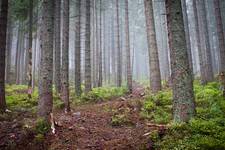 Tatry Zachodnie