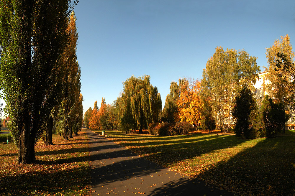 Jesień w mieście