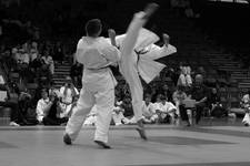 kyokushin