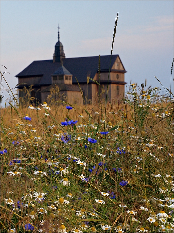 Cibory - Kołaczki