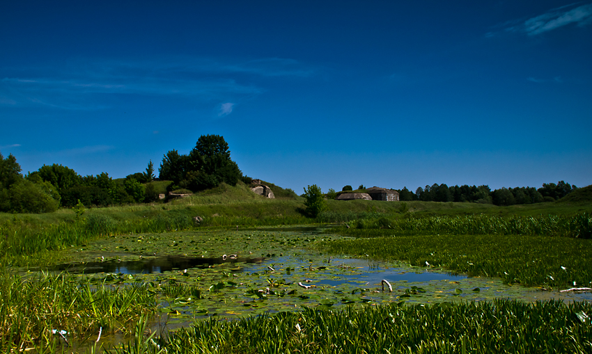 letnio-bagiennie