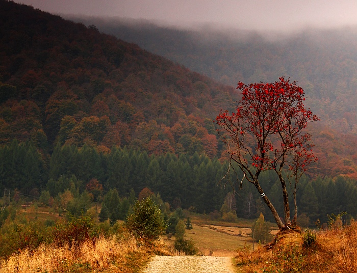 bieszczady