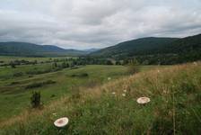 Regetów Wyżny (Beskid Niski)