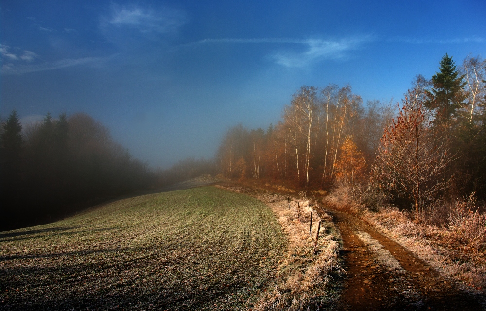 cienie i blaski..